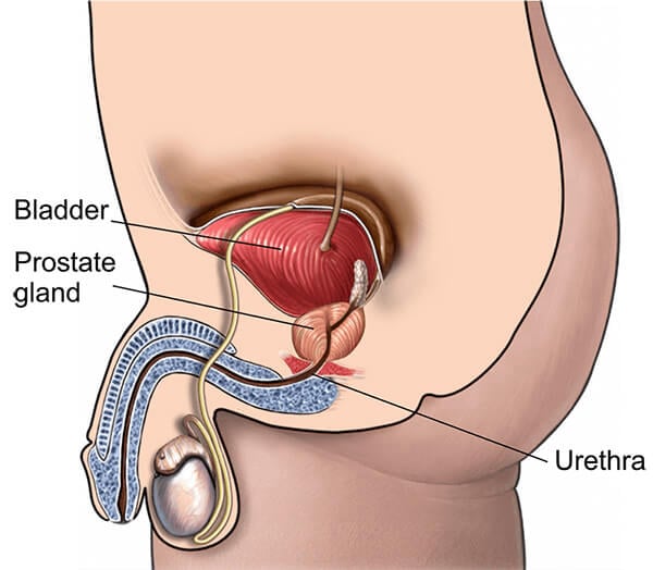 titanflow-prostate-eye-image